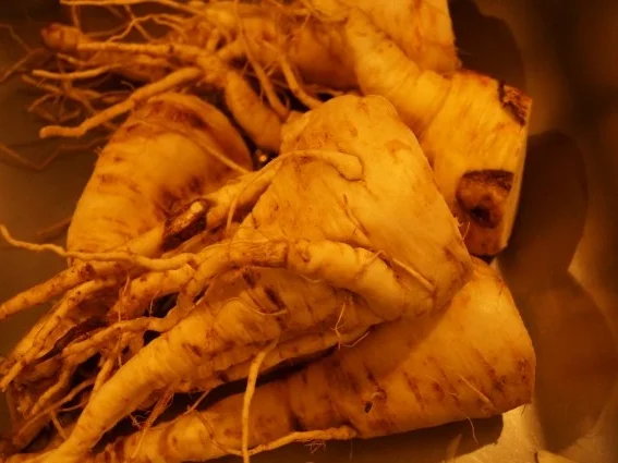 Hot Pastinaken Petersilienwurzelsuppe - Rezept