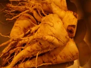 Rezept: Hot Pastinaken Petersilienwurzelsuppe Hot Pastinaken Petersilienwurzelsuppe - Rezept