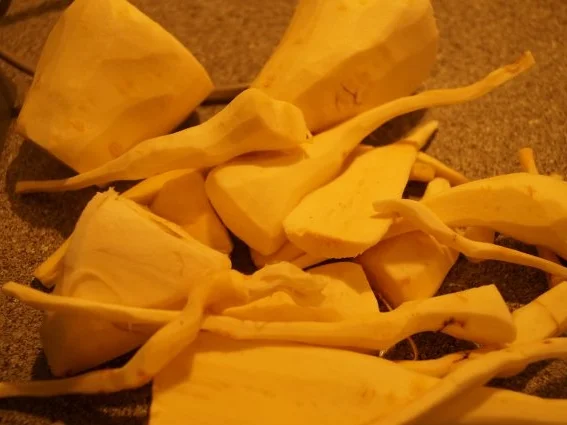 Hot Pastinaken Petersilienwurzelsuppe - Rezept - Bild Nr. 2