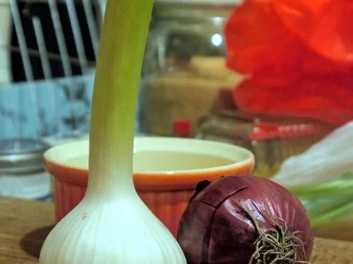 Weichweizen mit Rinderhack und Fenchel - Rezept - Bild Nr. 4