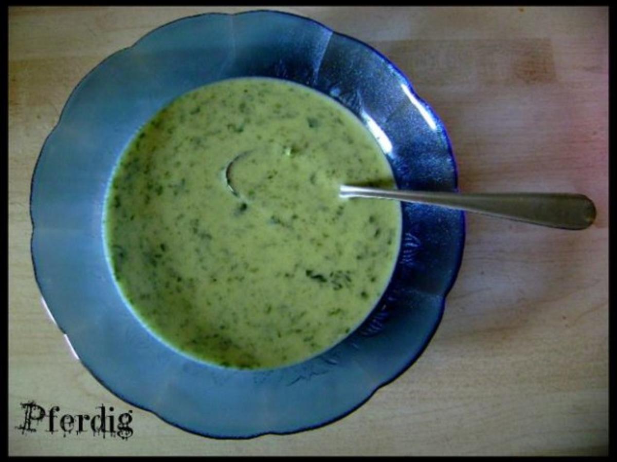 Bärlauchsuppe mit Parmesan - schnell &amp; einfach - 31 kcal/100g