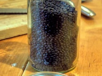 Rezept: Winterlich-fruchtiger Linsensalat mit Fetapäckchen Bild Nr. 2 Winterlich-fruchtiger Linsensalat mit Fetapäckchen - Rezept - Bild Nr. 2