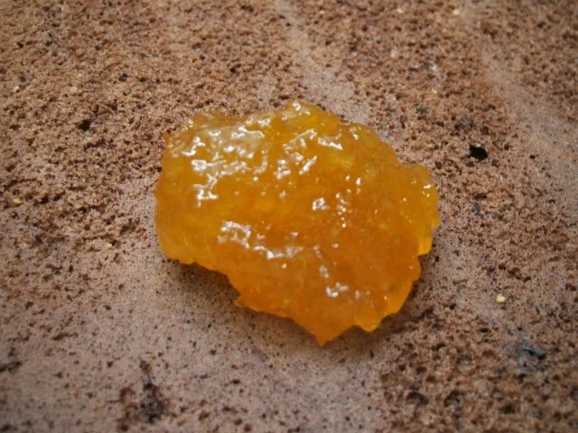 Backen: Schokosahnetorte mit Orangen - Rezept - Bild Nr. 8