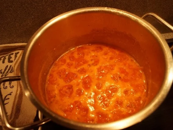 Rezept: Habanero Salsa Bild Nr. 5 Habanero Salsa - Rezept - Bild Nr. 5