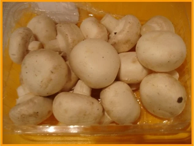 Gebackene Champignons - Rezept - Bild Nr. 2