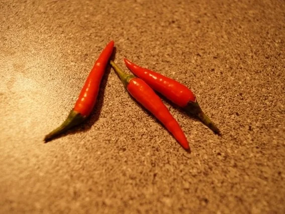 Rezept: Chili Salsa Bild Nr. 2 Chili Salsa - Rezept - Bild Nr. 2