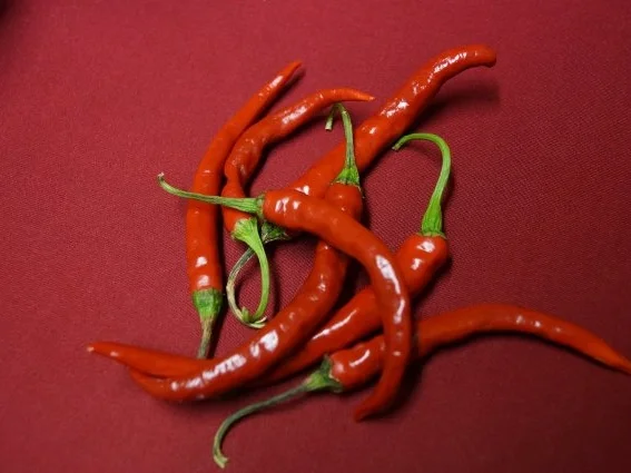 Chili-Pesto - Rezept - Bild Nr. 5