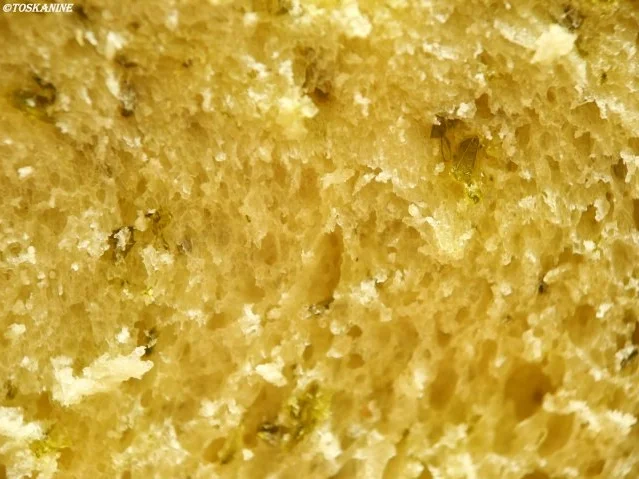 Kräuterweißbrot - Rezept - Bild Nr. 17