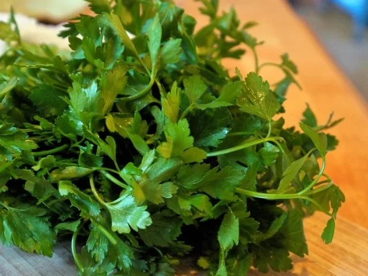 Kräuterweißbrot - Rezept - Bild Nr. 6