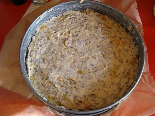 Aprikosen - Schoko - Kuchen - Rezept - Bild Nr. 11