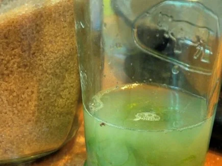 Rum-Pannacotta mit Limettensirup und Granatapfelkernen - Rezept - Bild Nr. 8