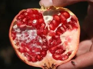 Orangen - Granatapfel - Aperol Marmelade - Rezept - Bild Nr. 3