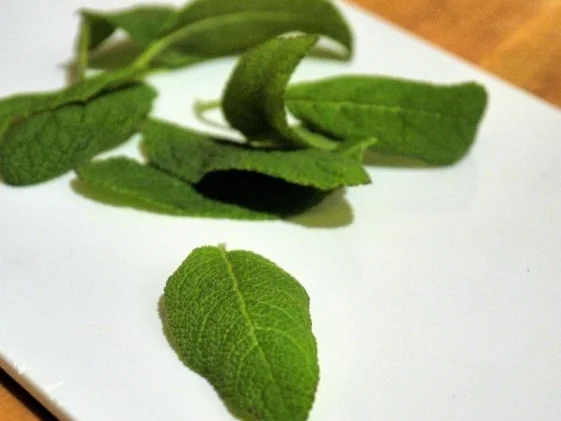 Kastanien-Gnocchi mit Salbei-Butter-Sauce - Rezept - Bild Nr. 14