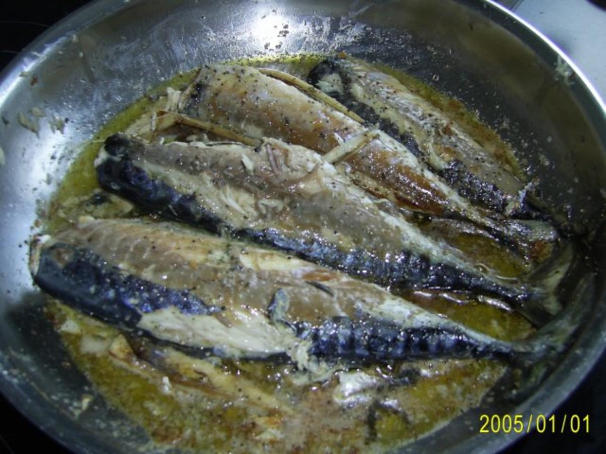 Fisch: frische Makrele in Dill-Rahm-Sauce..... - Rezept - Bild Nr. 3