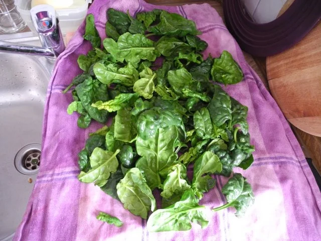 Vegan : Gemüse - Pfanne mit Pellkartoffeln - Rezept - Bild Nr. 4