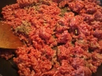 Bolognaise- Sosse auf Vorrat - Rezept - Bild Nr. 2
