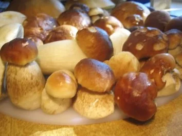 Steinpilze in Wacholder-Rahm - Rezept - Bild Nr. 3