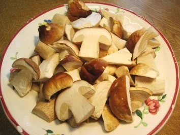 Steinpilze in Wacholder-Rahm - Rezept