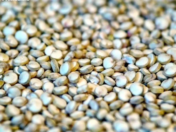 Bunter Quinoa mit Bouletten und Knoblauch-Limetten-Dip - Rezept - Bild Nr. 16