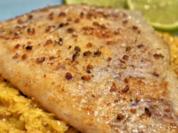 Kabeljau-Filet auf Curry-Spitzkohl - Rezept