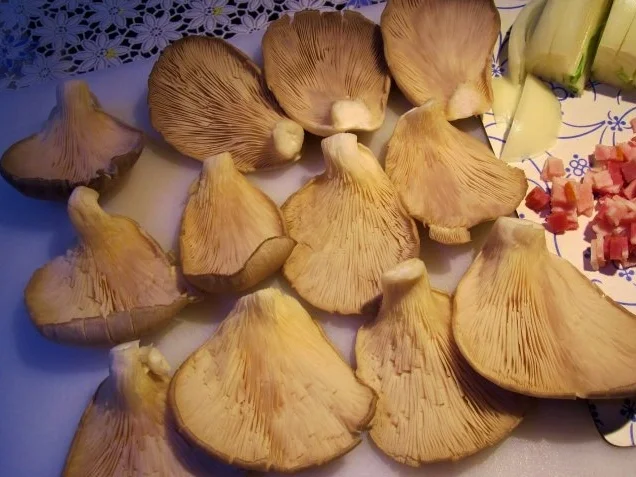 Rezept: Austernpilze ... Bild Nr. 3 Austernpilze ... - Rezept - Bild Nr. 3