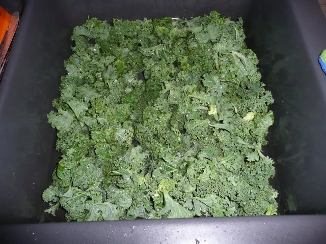 Kehlkrauttopf, oder Grünkohleintopf. - Rezept - Bild Nr. 10