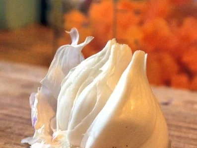 Tomaten-Aprikosen-Pesto - Rezept - Bild Nr. 7