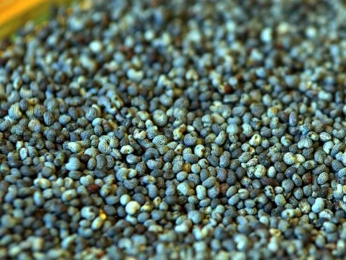 Rezept: Mousse au Chocolat "Oriental" mit Mohnsauce Bild Nr. 12 Mousse au Chocolat "Oriental" mit Mohnsauce - Rezept - Bild Nr. 12