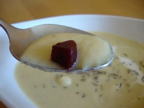 Rezept: Weiße Rübencremesüppchen, fein abgestimmt mit Vanille Bild Nr. 11 Weiße Rübencremesüppchen, fein abgestimmt mit Vanille - Rezept - Bild Nr. 11