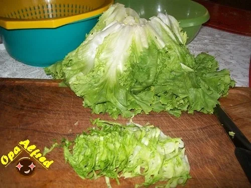 Salate: Mein Wintersalat - Rezept