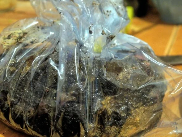 Schweinefilet mit Kaffeeduft - Rezept - Bild Nr. 6