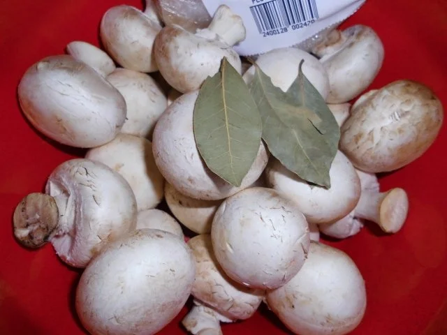 Rezept: Schollenfilets-Auflauf mit Champignon-Soße Bild Nr. 7 Schollenfilets-Auflauf mit Champignon-Soße - Rezept - Bild Nr. 7