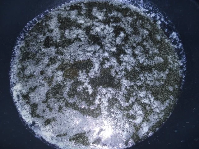 Rezept: Schollenfilets-Auflauf mit Champignon-Soße Bild Nr. 12 Schollenfilets-Auflauf mit Champignon-Soße - Rezept - Bild Nr. 12