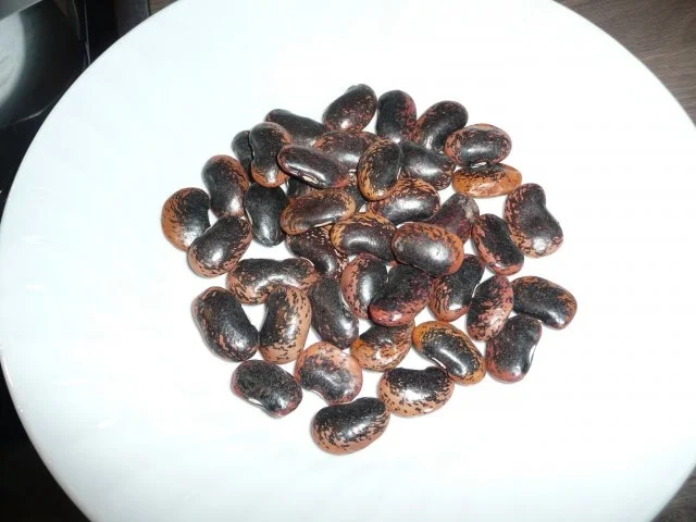 Rezept: Dschungelkost : Dicke Bohnen Suppe ! Dschungelkost : Dicke Bohnen Suppe ! - Rezept