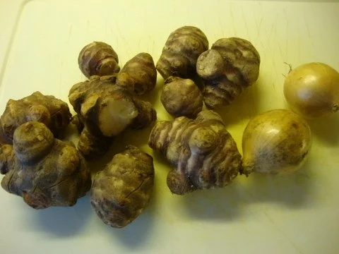 Topinamburcremesuppe - Rezept - Bild Nr. 2