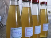 Rezept: Getränke: Orangenlikör Getränke: Orangenlikör - Rezept