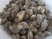 Rezept: Gerรถstete Salzmandeln Gerรถstete Salzmandeln - Rezept