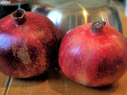 Granatapfel-Mohn-Tiramisu - Rezept - Bild Nr. 17