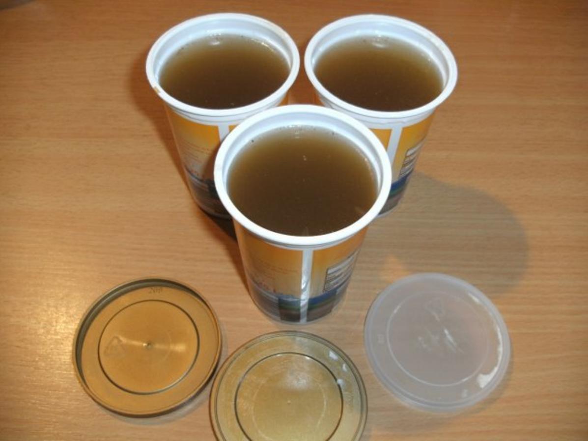 Fasan Rezepte