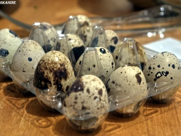 Rezept: Entenfrikadellen auf Reisnudeln Bild Nr. 16 Entenfrikadellen auf Reisnudeln - Rezept - Bild Nr. 16