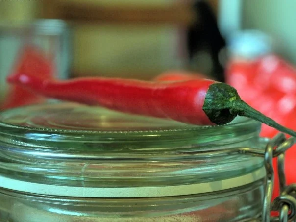 Rezept: Entenfrikadellen auf Reisnudeln Bild Nr. 10 Entenfrikadellen auf Reisnudeln - Rezept - Bild Nr. 10