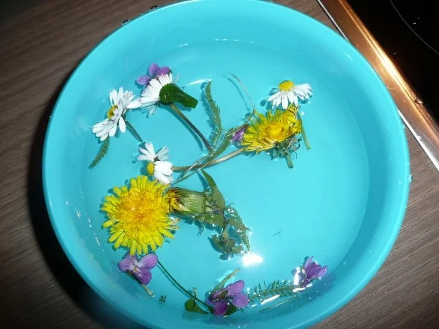 Pellkartoffeln mit Kräuterquark mit Wildblumendekoration ! - Rezept - Bild Nr. 3