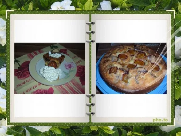 Kuchen : Zwetschgen mit Marzipan - Nougat Baumstämmen - Rezept