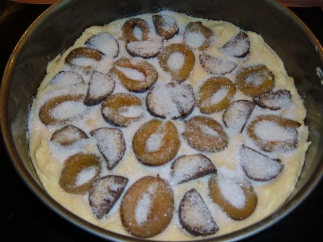 Kuchen : Zwetschgen mit Marzipan - Nougat Baumstämmen - Rezept - Bild Nr. 6