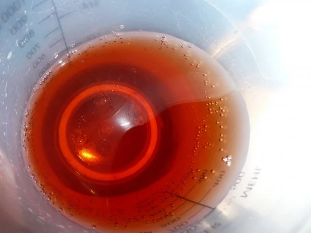 Kürbis einlegen nach Schuhbeck. - Rezept - Bild Nr. 2