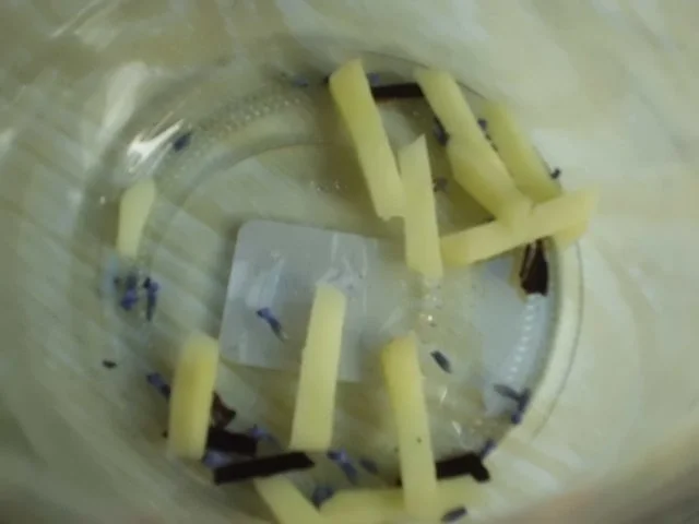 Liköre: Zitronenlikör mit Ingwer und Lavendel - Rezept - Bild Nr. 4