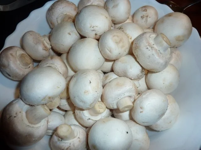 Vegetarisch: Pilzpfanne - Rezept - Bild Nr. 2