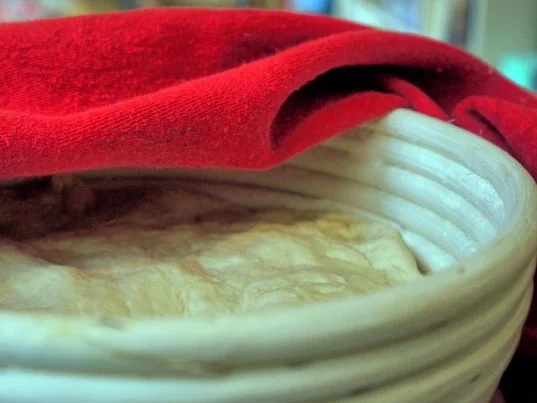 Rezept: Knuspriges Dinkelbrot Bild Nr. 6 Knuspriges Dinkelbrot - Rezept - Bild Nr. 6