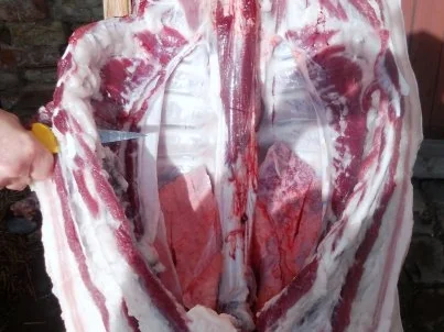 "Oma - Friede`s" - Altdeutscher "Buerhase" mit Sauerkohl  ( Rzpt. um 1939) - Rezept - Bild Nr. 3