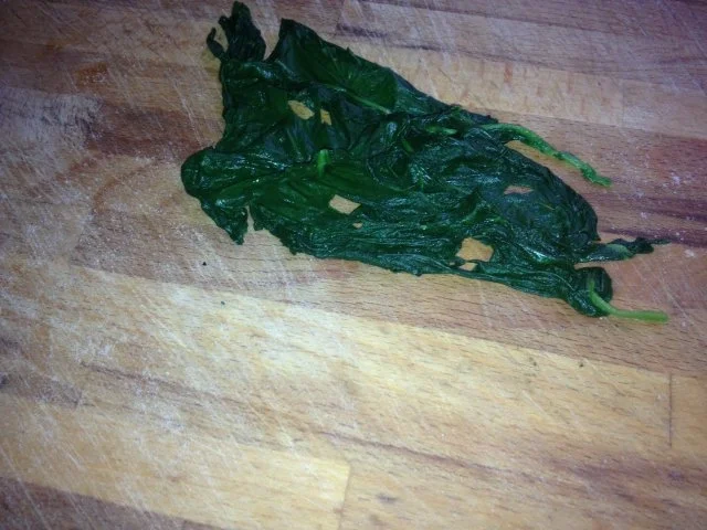 Laubfrösche - Rezept - Bild Nr. 4